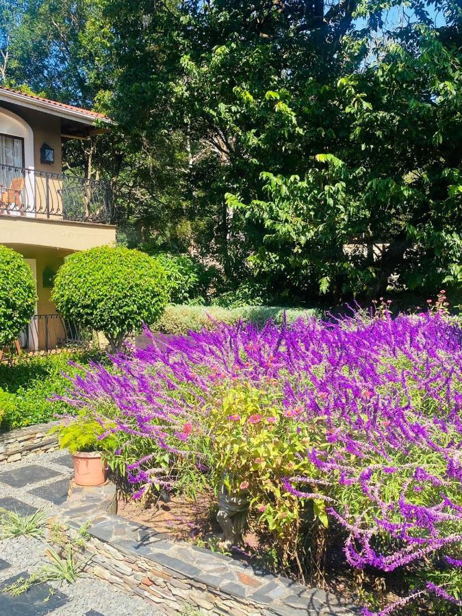 Valley Villa Баллито Экстерьер фото